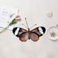 🦋Handgefertigter Butterfly Suncatcher